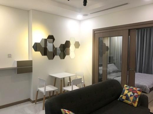 apartment for rent in HCMC BT105L1553 Vu (4)